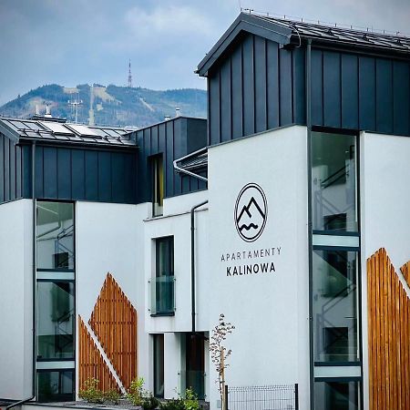 Apartamenty Riders Lodge Szczyrk Kalinowa 외부 사진